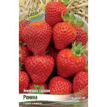 3611 Биг-Пак Земляника Садовая Ромина A 100 шт 