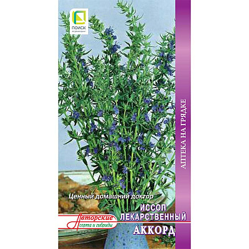 Иссоп Аккорд Поиск Ц