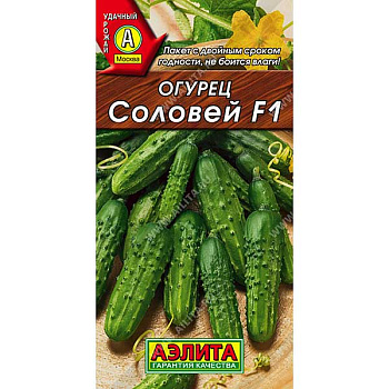Огурец Соловей Аэлита Ц