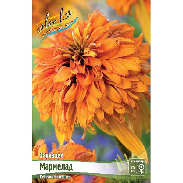 8184 Биг-Пак Эхинацея Мармелад I 25 шт 