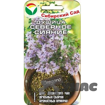 Душица Северное сияние СибСад Ц