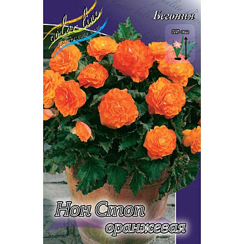 Бегония Нон Стоп Голд Оранжевая 5/6 3 шт 