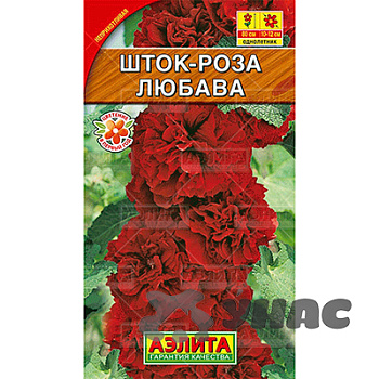 Шток-роза Любава Аэлита Ц 