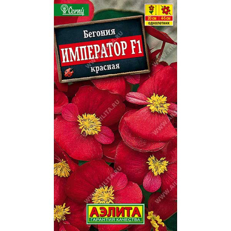 КОМ Бегония Император красная Аэлита Ц 