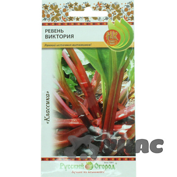 Ревень Виктория НК Ц