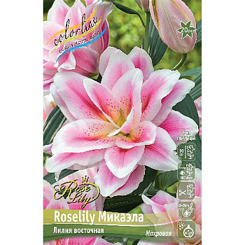 Лилия Roselily Микаэла 12/14 5 шт 