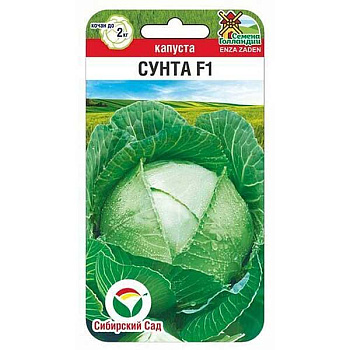 Капуста Сунта СибСад