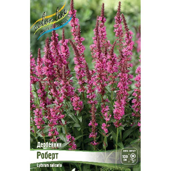 8347 Биг-Пак Дербенник Иволистный Роберт I 25 шт