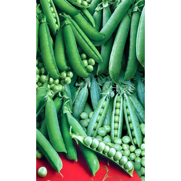 Горох Смесь Лучших Сахарных Сортов Марс Ц