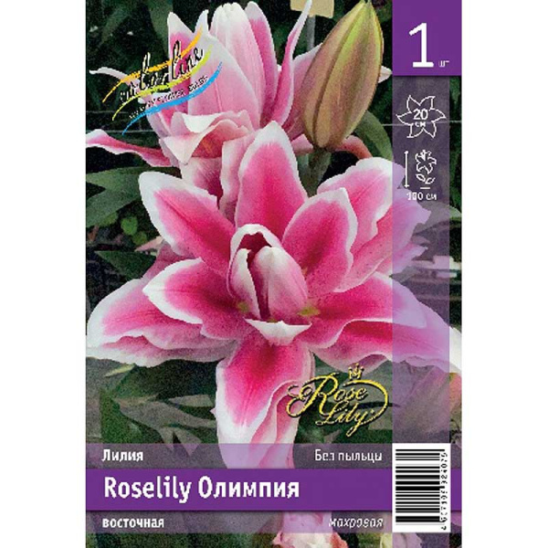 Лилия Roselily Олимпия 12/14 1 Эконом шт 