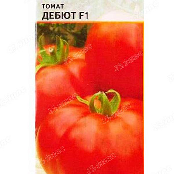 Семена Томат Дебют (Нидерланды) Каприс