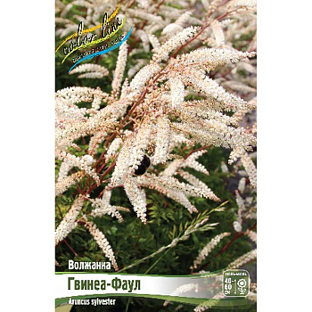 16422 Биг-Пак Волжанка Гвинеа-Фаул I 25 шт 