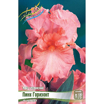 Ирис Германский Пинк Горизонт I 1 шт