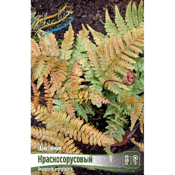 8274 Биг-Пак Щитовник Красносорусовый I 25 шт