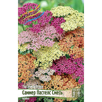 Тысячелистник Саммер Пастелс Смесь I 2 шт 