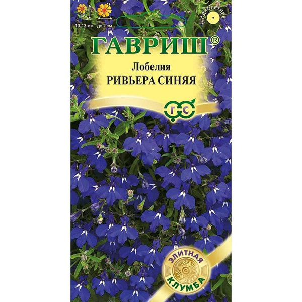 Лобелия Ривьера Синяя Гавриш Ц 