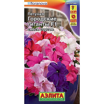 Петуния Городские гиганты смесь Аэлита Ц 