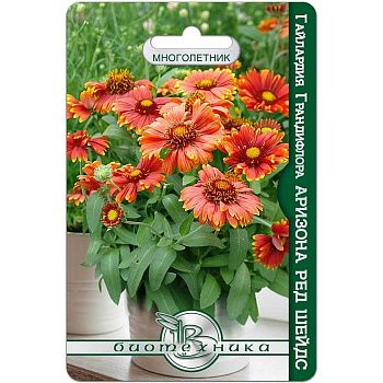 Гайлардия Аризона Ред Шейдс Биотехника Ц 