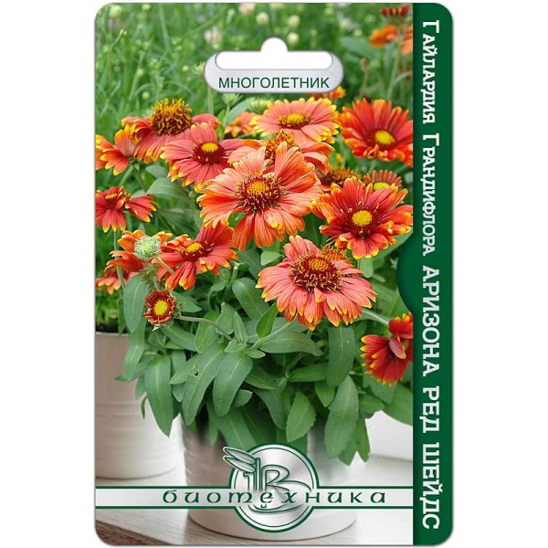 Гайлардия Аризона Ред Шейдс Биотехника Ц 