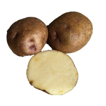 Картофель Синеглаз Супер Элита 25кг Воронеж