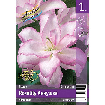 Лилия Roselily Аннушка 12/14 1 Эконом шт 
