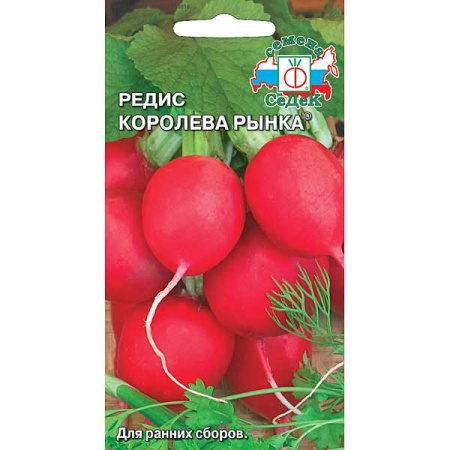 Редис Королева рынка Седек Ц
