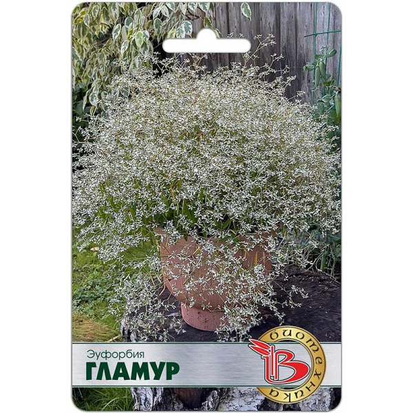 Эуфорбия Гламур Биотехника Ц 
