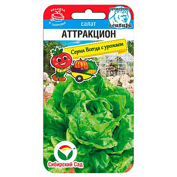 Салат Аттракцион СибСад Ц