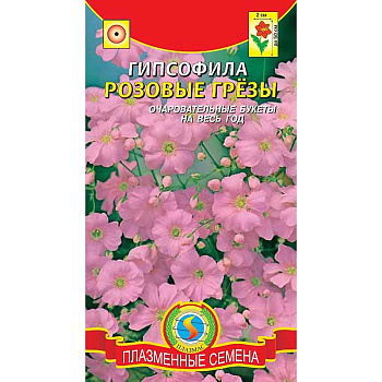 Гипсофила Розовые грезы Плазма Ц 