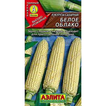 Кукуруза Белое облако Аэлита Ц