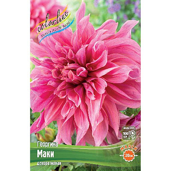 Георгина Маки I 15 шт Шоу-Бокс 8914