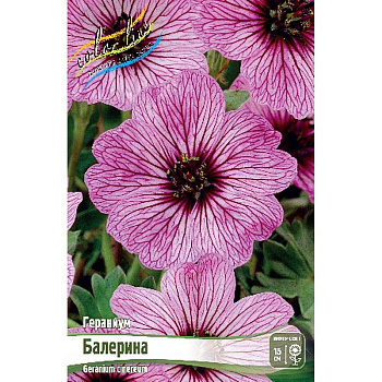 Гераниум Балерина I 25 шт Биг-пак 9323 