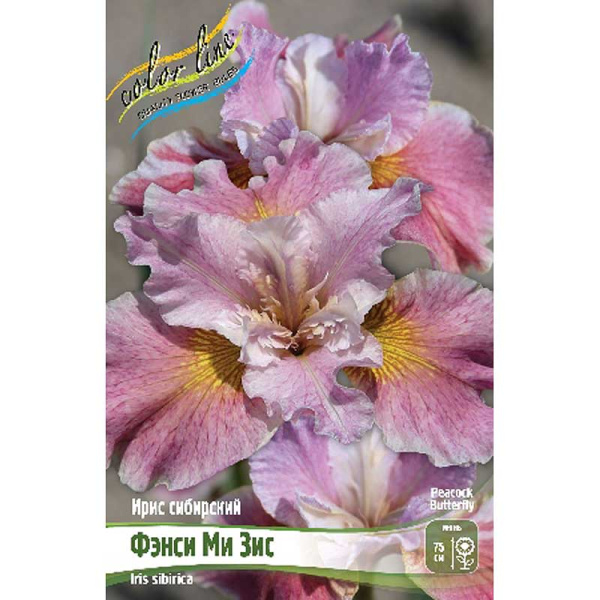 Ирис Сибирский Фэнси Ми Зис I 25 шт Биг-пак 9390