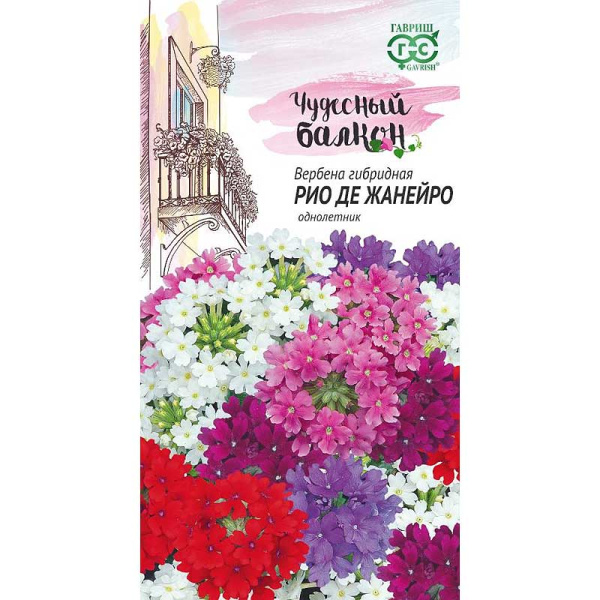 Вербена Рио де Жанейро низкая (Чуд балкон Гавриш Ц 