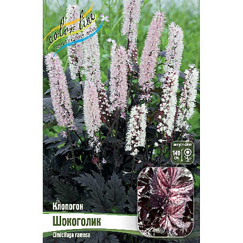 Клопогон Шокоголик I 1 шт