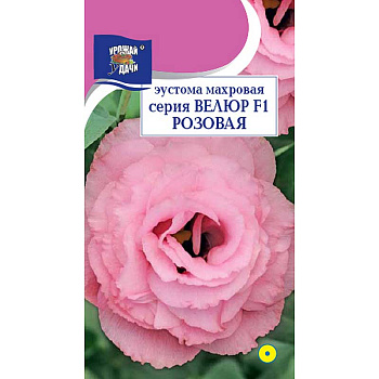 Эустома Велюр Розовая махр Урожай у дачи Ц 