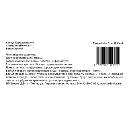 Крокус Королькова 6/+ 10 шт Садовита 