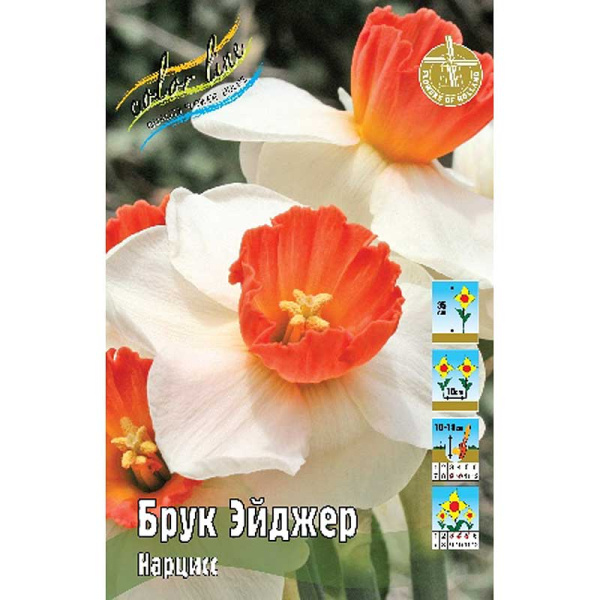 1985 Шоу-бокс Нарцисс Брук Эйджер 12/14 50 шт