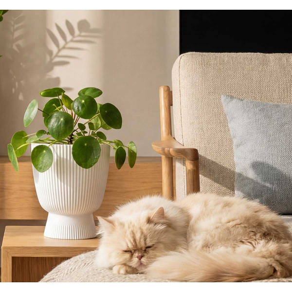 Кашпо ВЕЛЬВЕТ D220мм 3,7л со вставкой Белый М3270 х8 