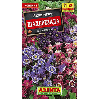 Аквилегия Шахерезада Аэлита Ц 