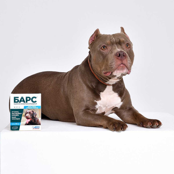 Барс Ошейник от блох и клещей для собак средних пород АВ730 x60