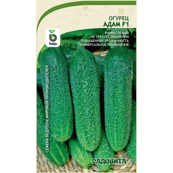 Огурец Адам F1 5шт Bejo/Садовита Ц