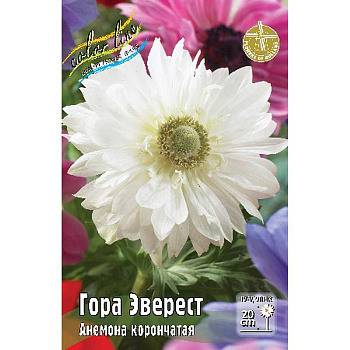 Анемона Гора Эверест 5/6 10 шт