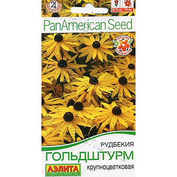 Рудбекия Гольдштурм Аэлита Ц 