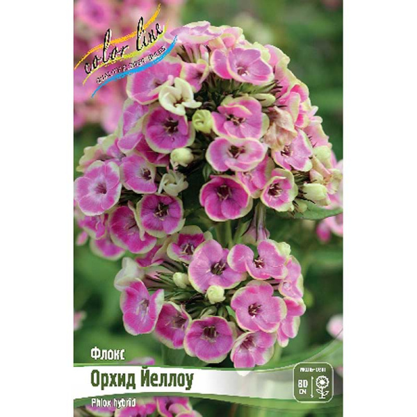 Флокс Орхид Йеллоу I 25 шт Биг-Пак 3979 