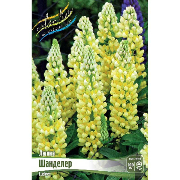 Люпин Шанделер I 3 шт