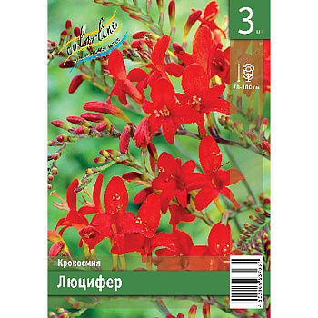 Крокосмия Люцифер 8/10 3 Эконом шт 