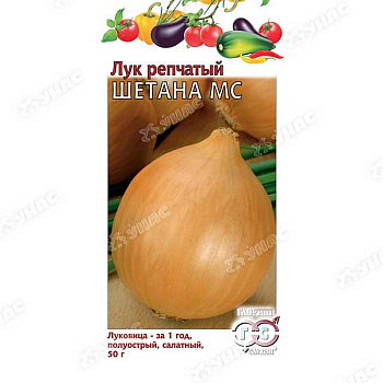 Лук Шетана Гавриш Ц