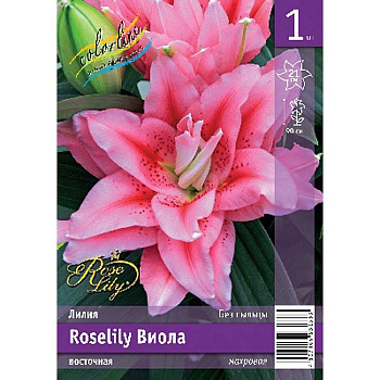 Лилия Roselily Виола 12/14 1 Эконом шт 