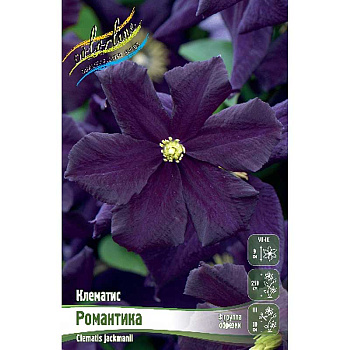Клематис Романтика I 25 шт Биг-пак 2457